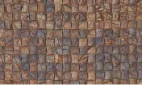 Petrified Mosaic