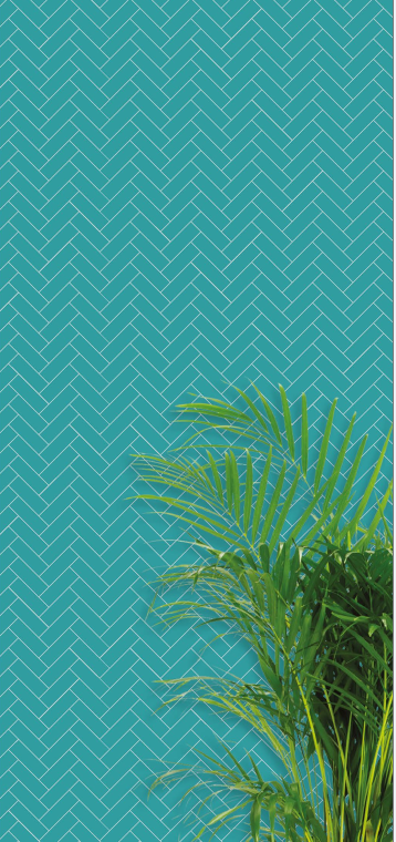 Teal Chevron