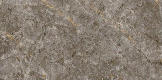 Grey William MAMTA MARBLES